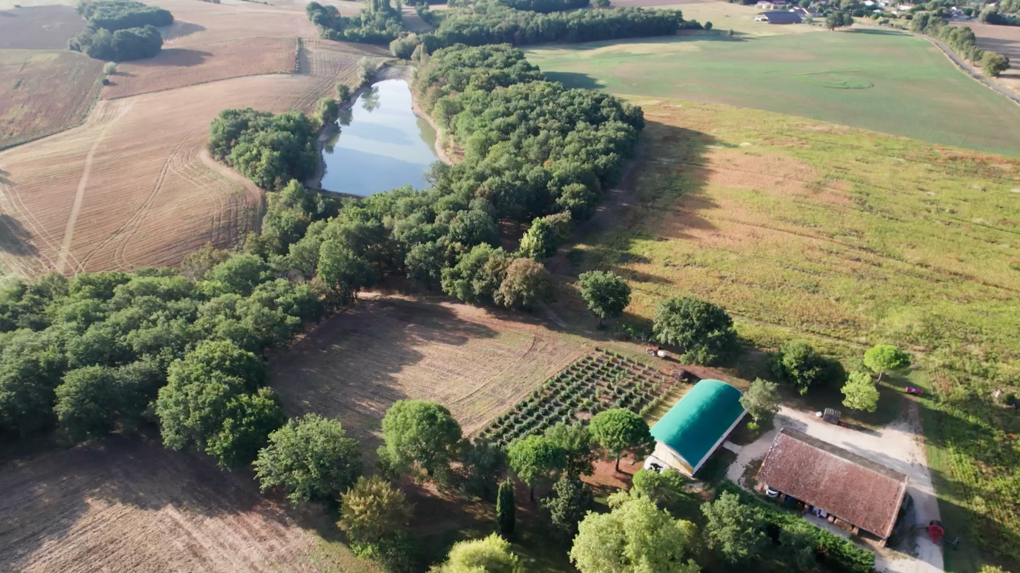 Vue aérienne de l'exploitation familiale de CBD